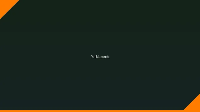萌宠时刻主题赛 - madouchuanmei UGC视频竞赛